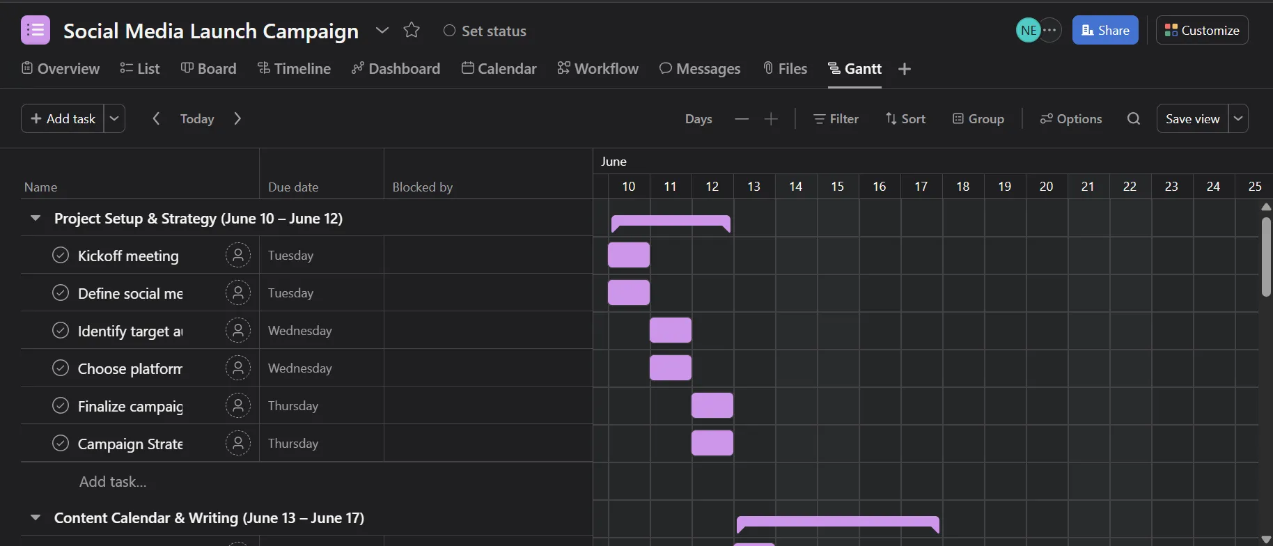 Asana Project Management 2